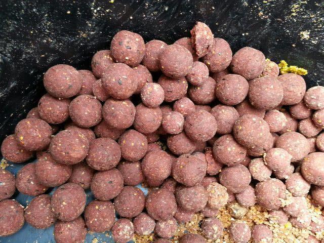 Pasiune pt pescuit - 9704145827082951104051466272657n.jpg